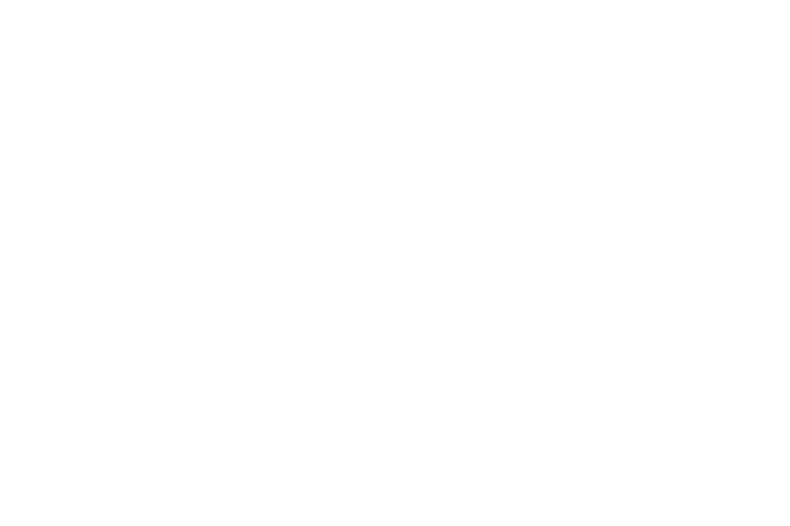 One Loudoun Life